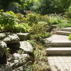 Landscaping Services Buffalo NY