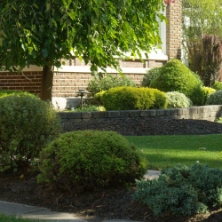 Retaining Wall Landscape Buffalo NY