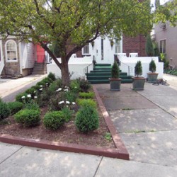 Commercial Landscaper Buffalo