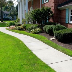 Landscape Design Buffalo